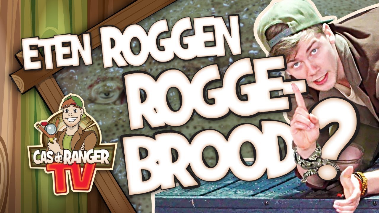 LUSTEN ROGGEN OOK ROGGEBROOD? Cas de Ranger TV #07 - Julianatoren