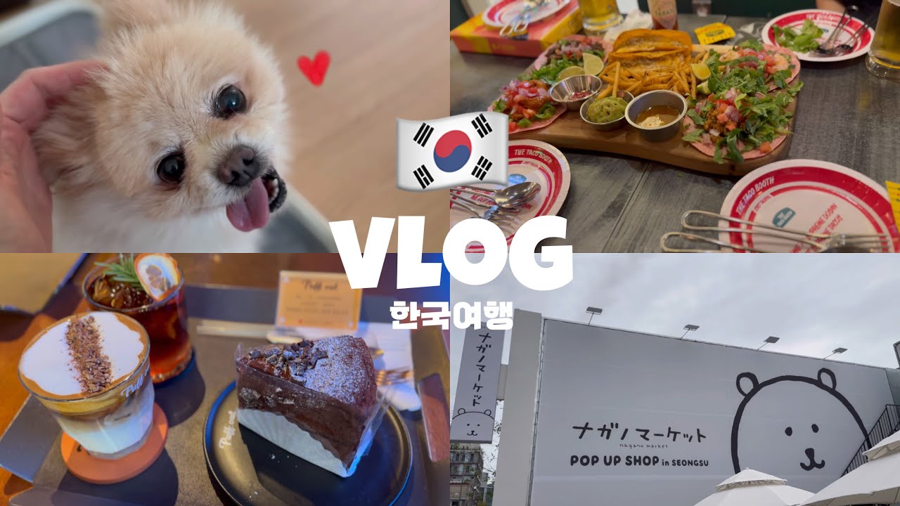 VLOG #186 🇰🇷3박4일 먹기 만하는 한국여행ㅣ성수 추천 카페ㅣ담곰이 팝업ㅣ3泊4日食べるだけの韓国旅行ㅣソンスのオススメカフェㅣナガノマーケットinソンス