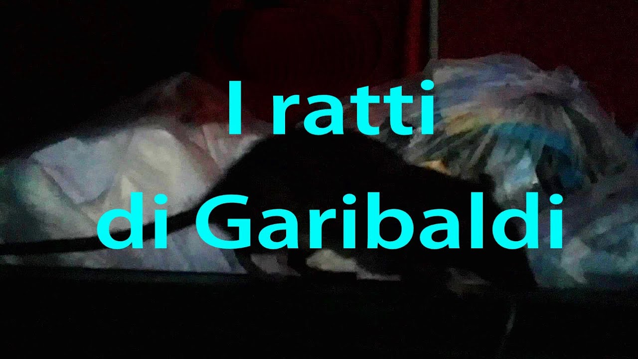 I ratti di Garibaldi