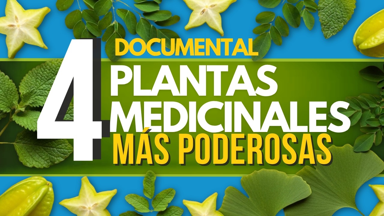 DOCUMENTAL El Poder de la Naturaleza en 4 Plantas Sagradas: Desintoxica, Calma y Renueva