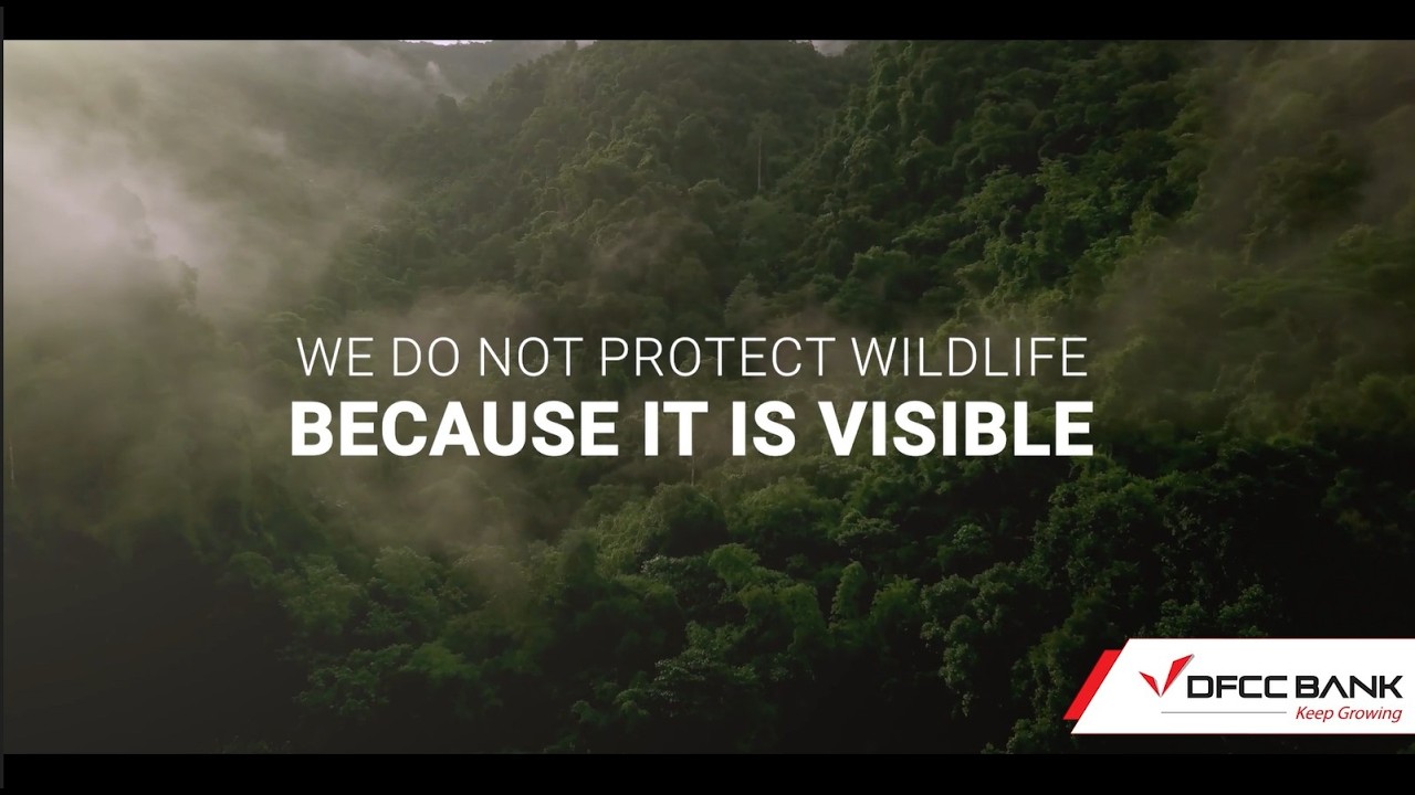 Wildlife is not the story. It is the signal. #WorldWildlifeDay