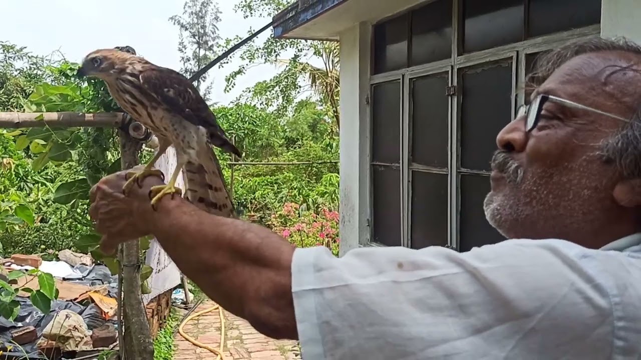যার মা নেই,কেউ নেই তার অবলা আছে।ছোট্ট ছানা আজ বড় হয়ে ফিরলো অসীম স্যারের হাত ধরে।