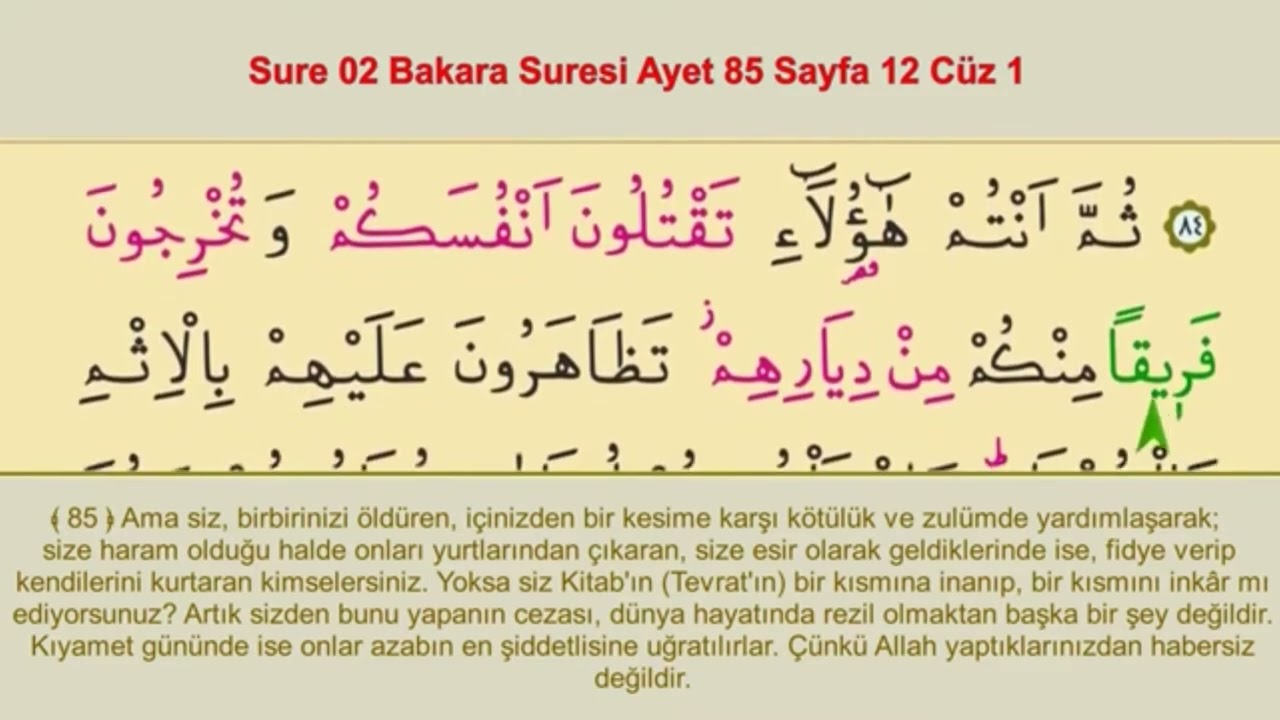İshak Danış ile Bakara Suresi 12.Sayfa Başlayan Hafızlık Serüveni  Her Ayet 11 Tekrar