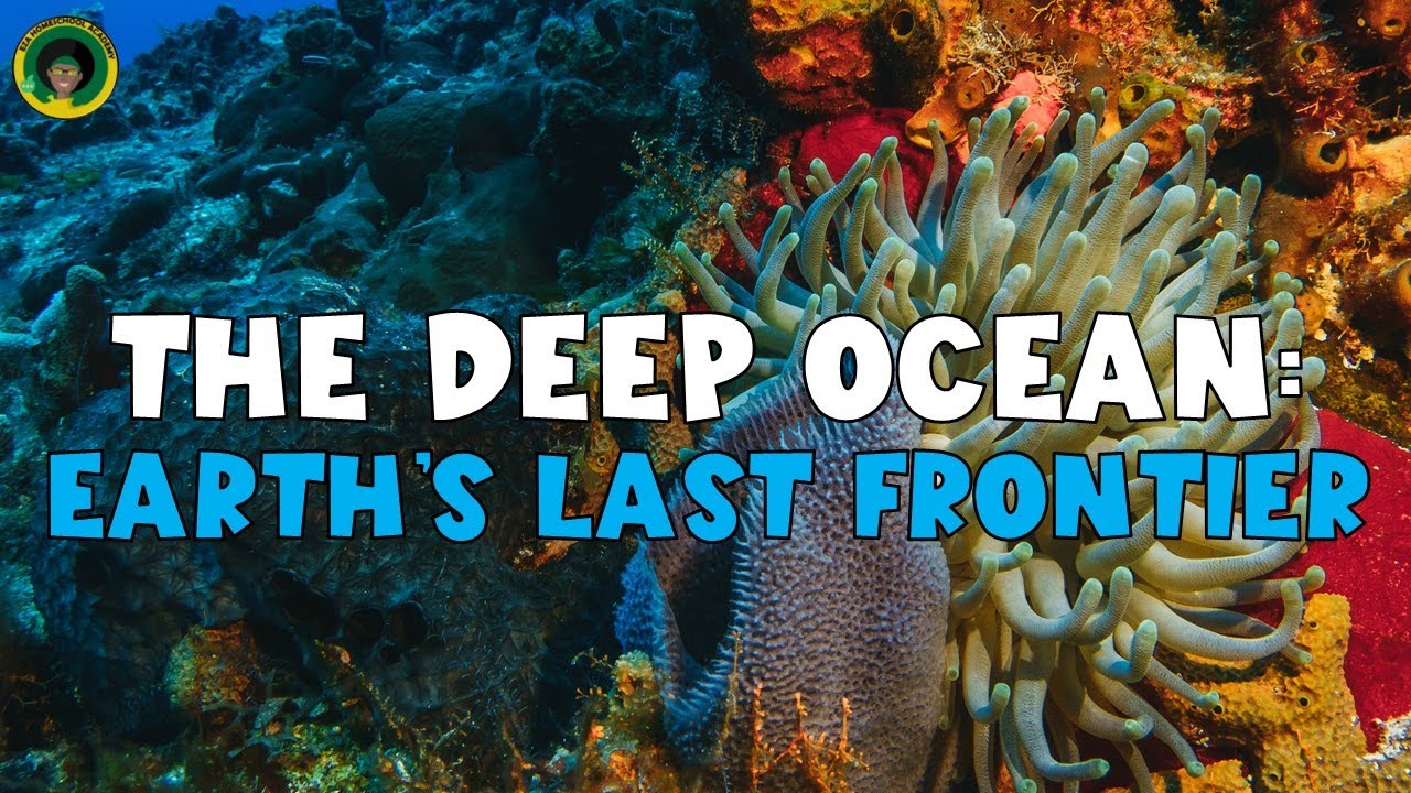 The Deep Ocean: Earth's Last Frontier | Nature Video | Learn about the Ocean