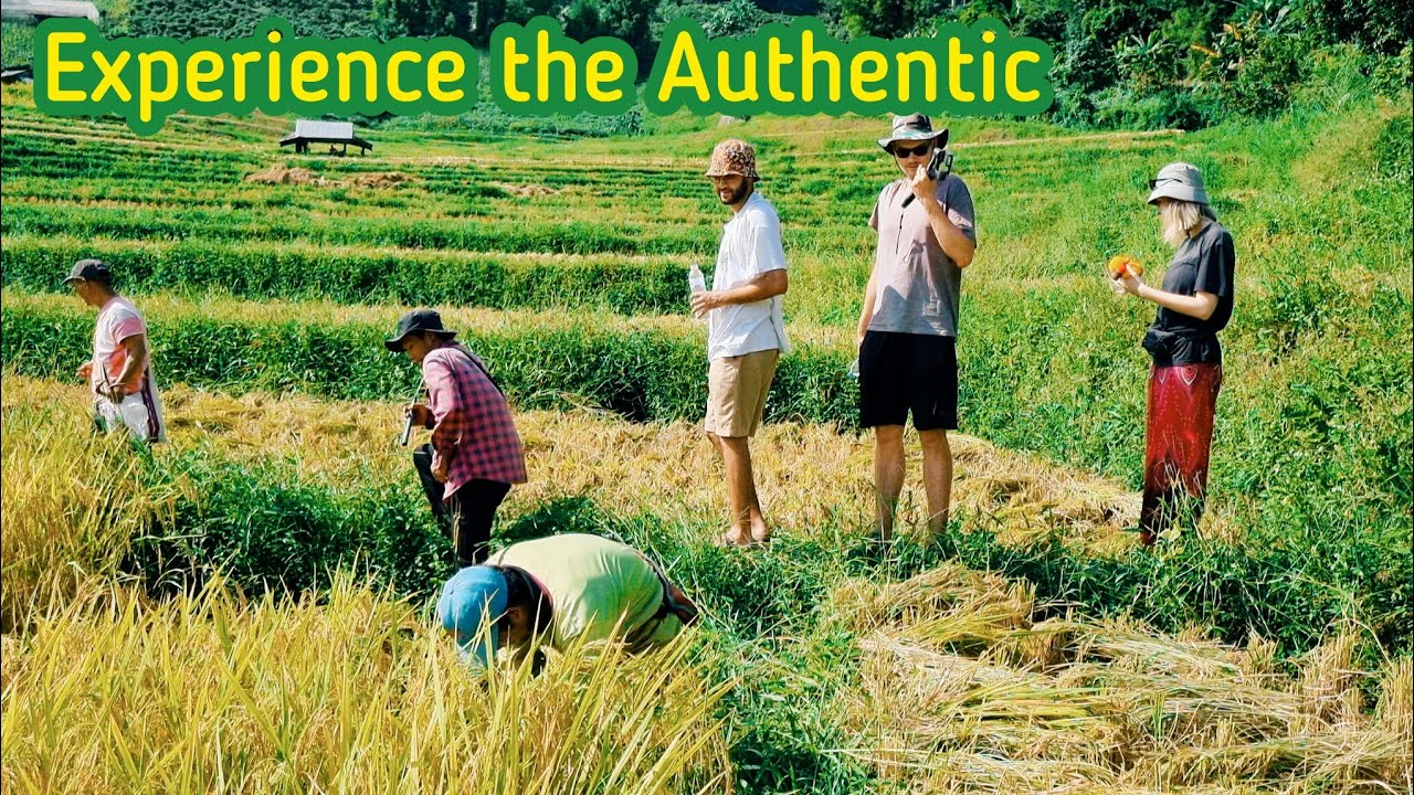 Experience the authentic hill tribe village Chiang Mai with Fair Trade Tour