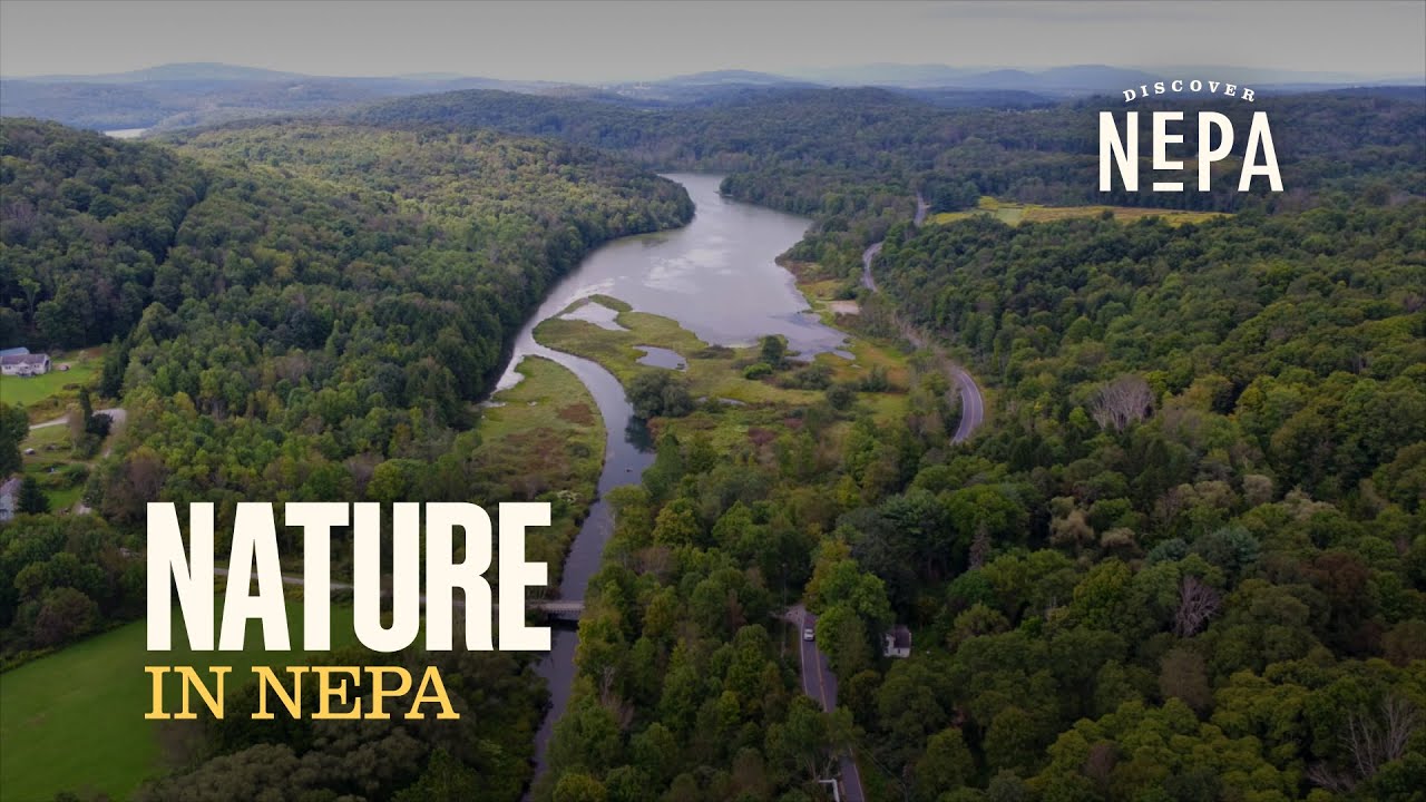 Nature in NEPA | Northeastern Pennsylvania