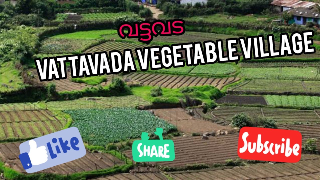 Vattavada vegetable village/വട്ടവട