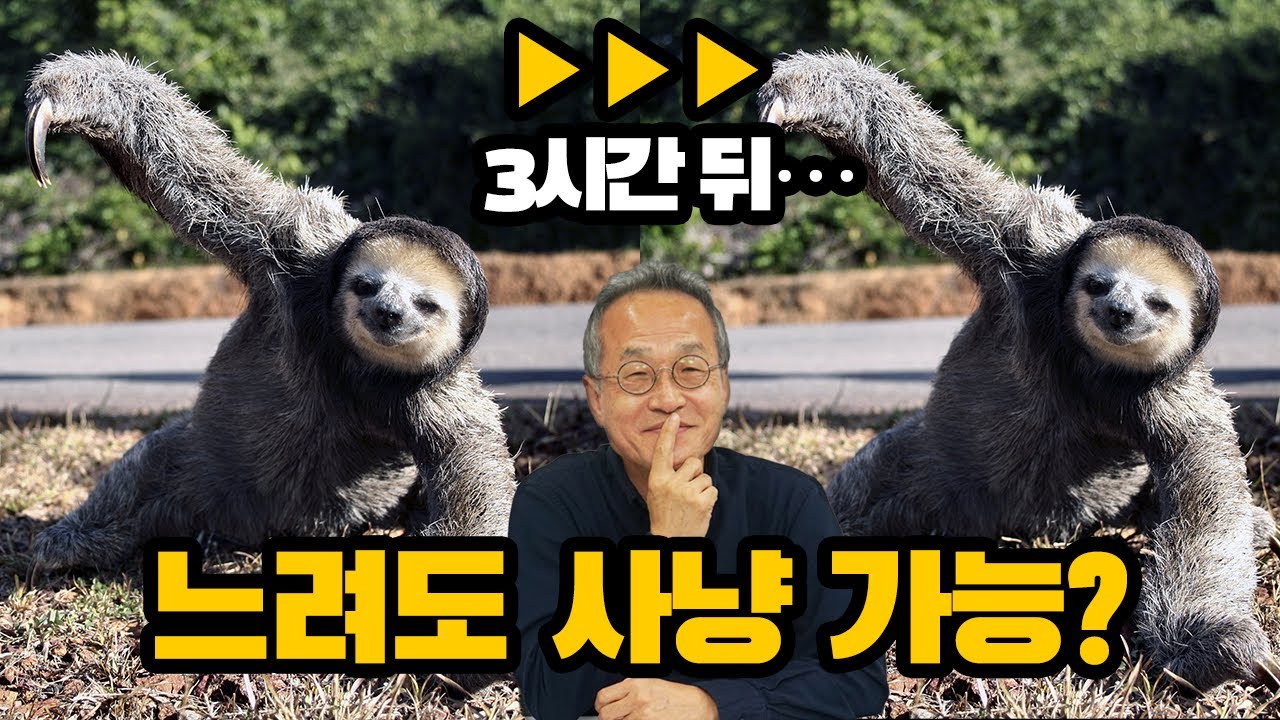 이렇게 느려도 사냥이 가능한가요? [최재천의 아마존]