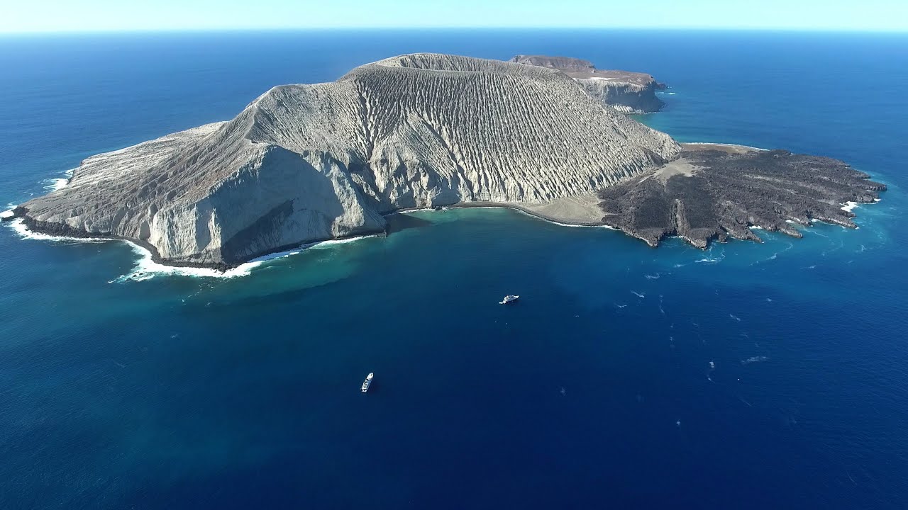 DIVING BCS - REVILLAGIGEDO (AKA SOCORRO ISLANDS), CABO PULMO, LA PAZ - APR 16 -INCL. AERIAL 4K