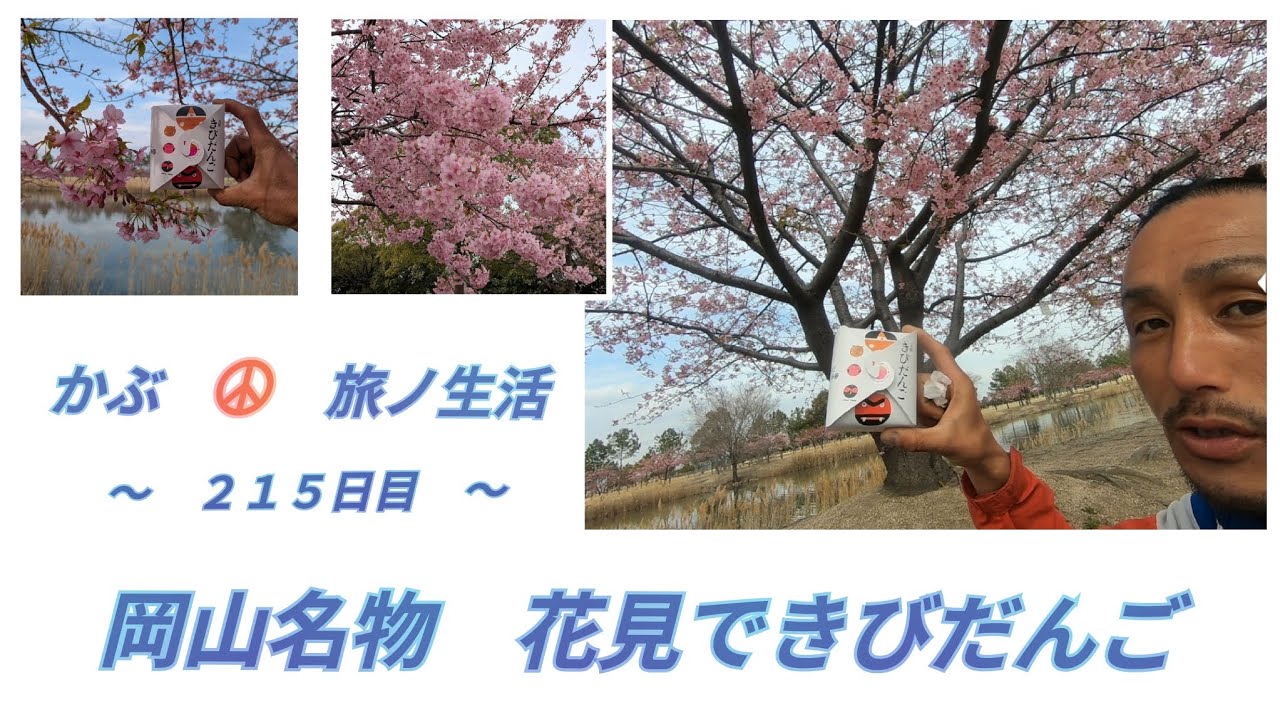 三月九日　花見できびだんご