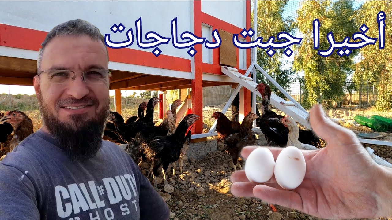 (40) أشتريت دجاج و كملت بيت دجاج تصميم امريكي
