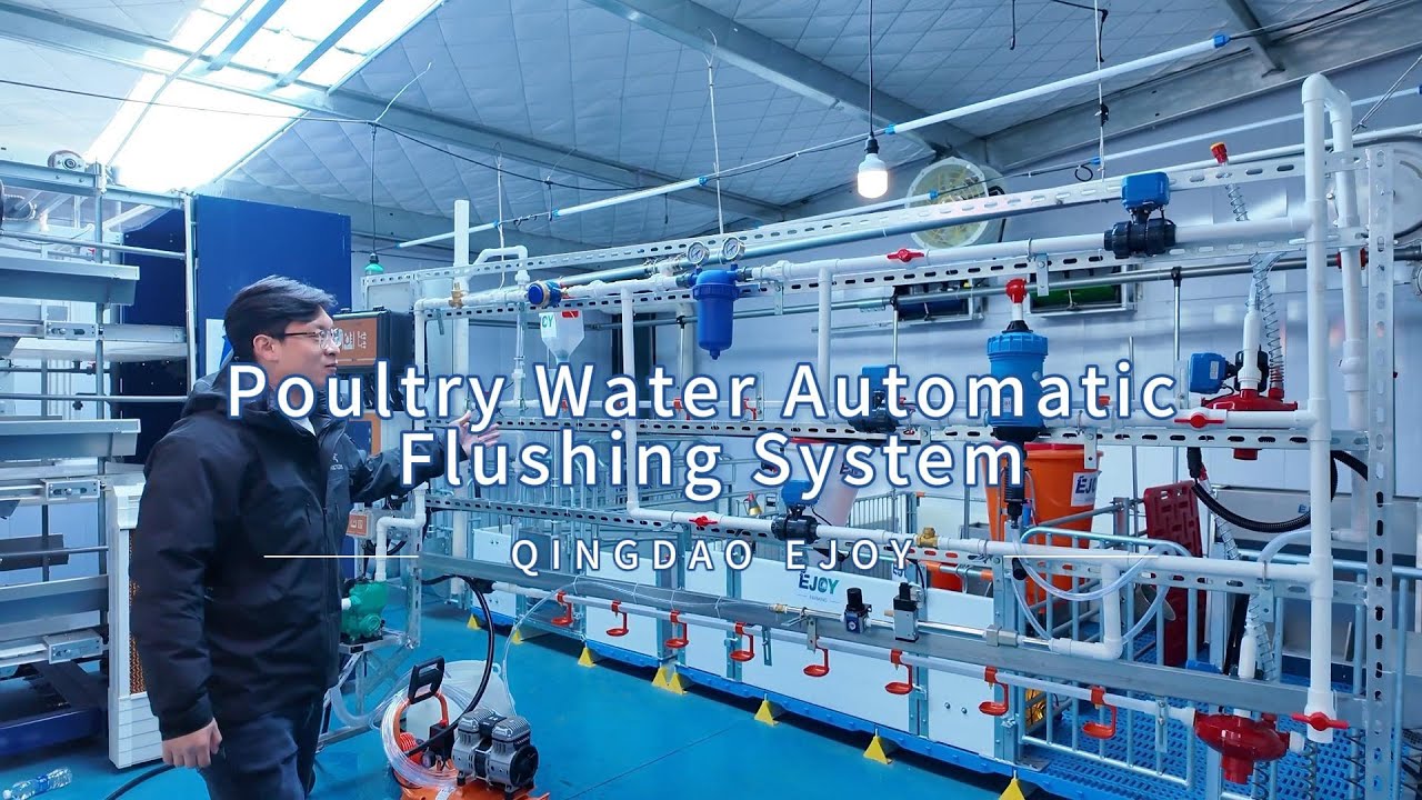 EJOY Integrated Drinking Line System for Poultry Houses: Automatic Water, Flushing, and Medication