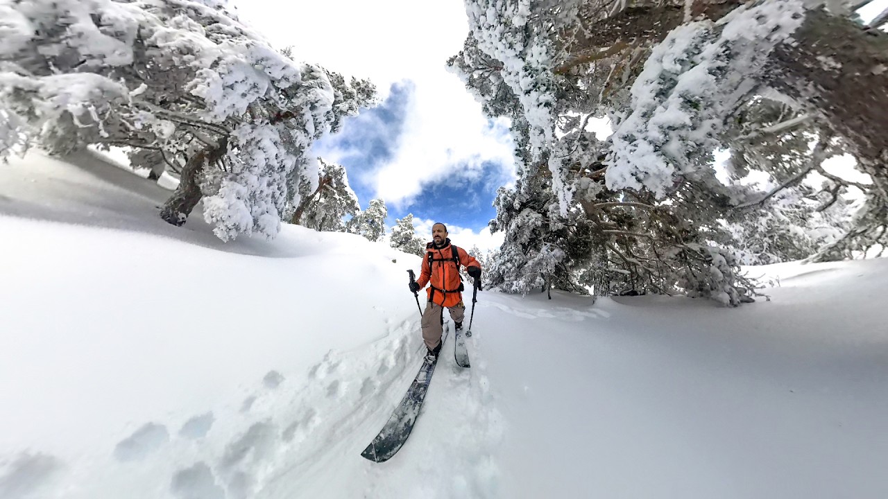 Splitboarding Sierra de Guadarrama - Una jornada por el bosque