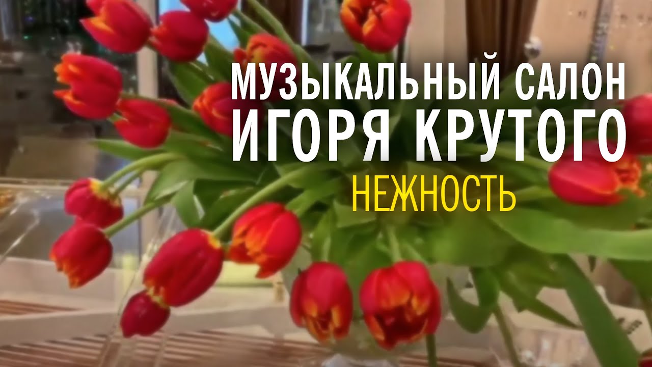 Игорь Крутой - Нежность | Музыкальный салон Игоря Крутого