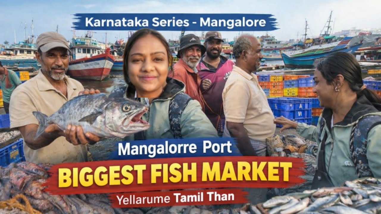 Mangalore Port Biggest fish market(Bunder) -Whats happening in side the port (Tamil people are here)