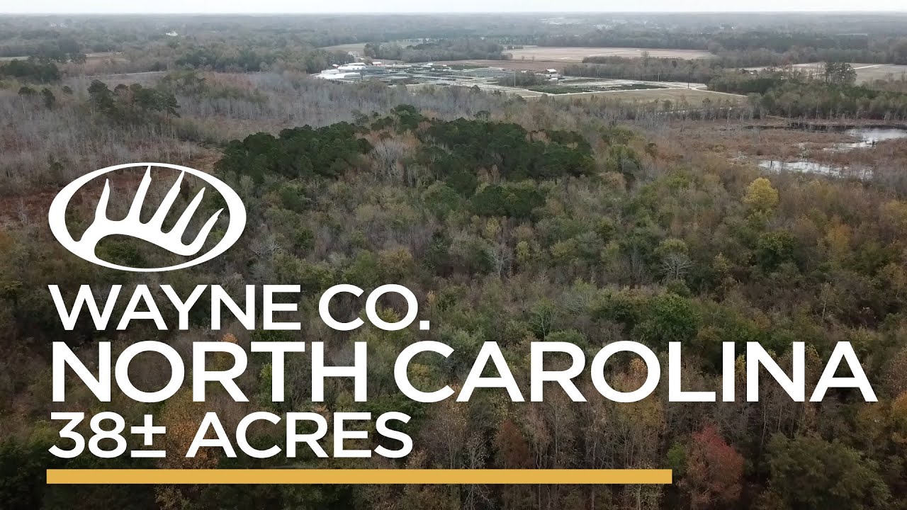 Wayne County, NC 38&plusmn; Acres