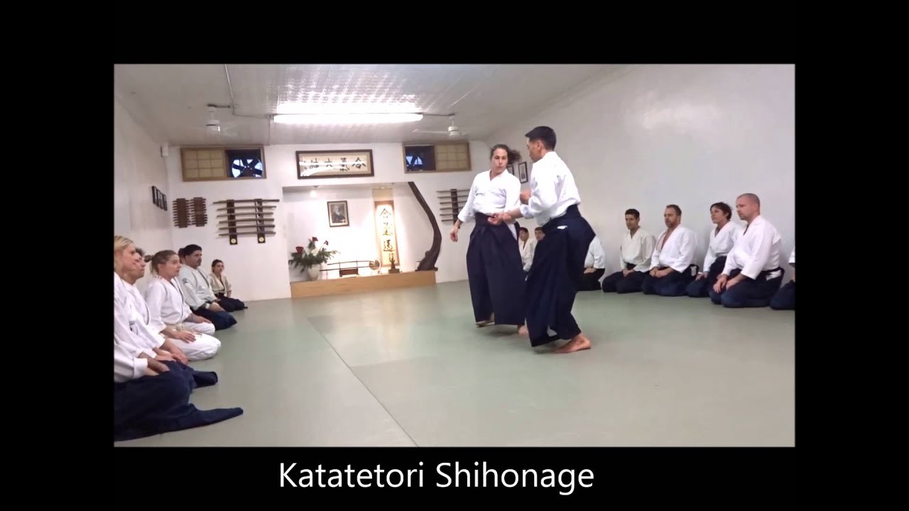 New York Aikikai Seminar Dec 2015: Vu Ha Sensei