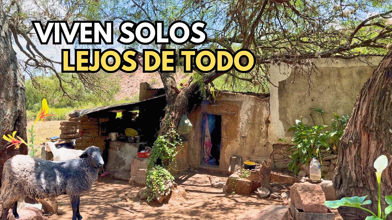 VIVIMOS SOLOS A VECES NO TENEMOS PARA COMER