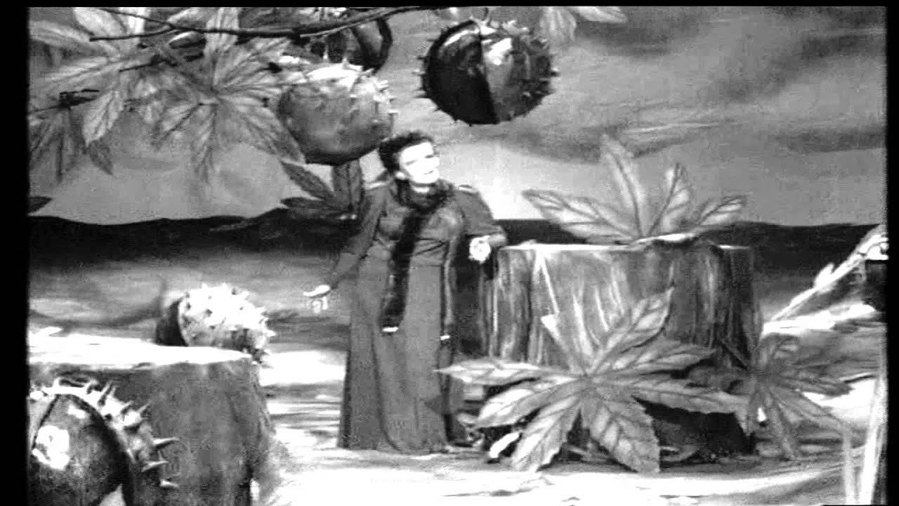 Ioana Radu - N-ai să știi niciodată