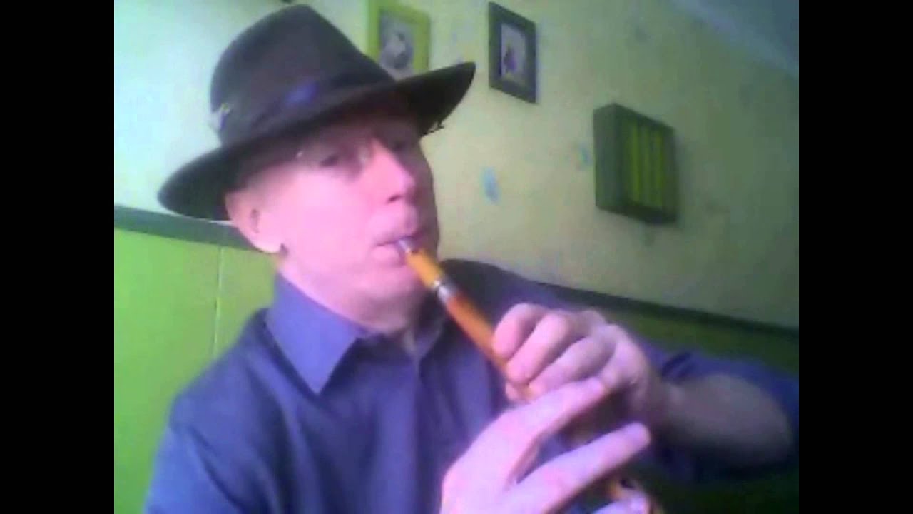 Hanter dro de LANGUIDIC Tin whistle et Accordeon diatonique