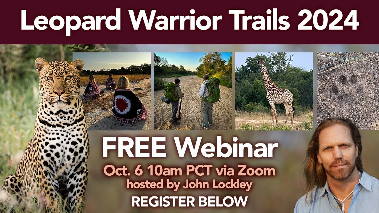 Free Info Webinar - 'Leopard Warrior Trails' Retreat  May 2024