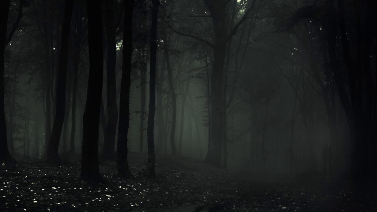 Den Slenderman im Wald beschw&ouml;ren...