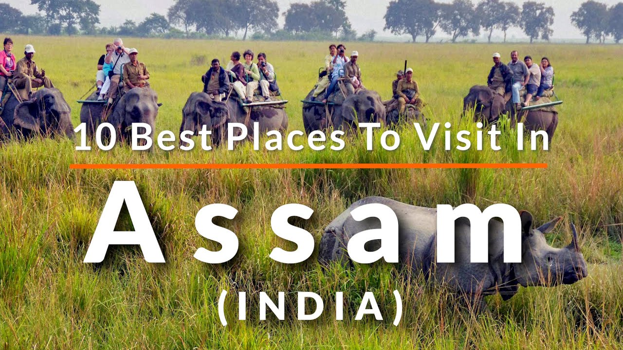 Top 10 Places to Visit in Assam, India 🇮🇳 | North East India Travel Guide 2025 | Travel Video