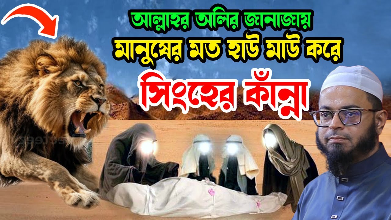 আল্লাহর অলির জন্য হাউ মাউ করে সিংহের কাঁন্না | nasir uddin Ansari new waz | নাসির উদ্দিন আনসারী