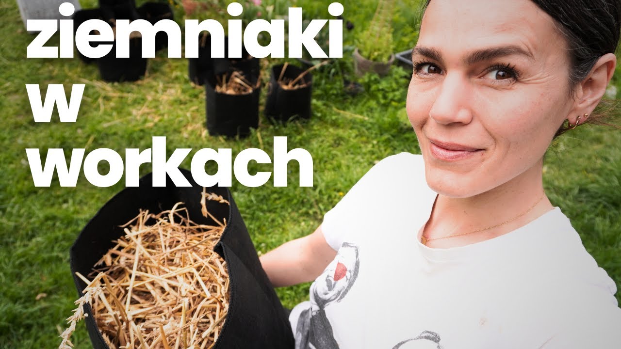 Ziemniaki w workach pod słomą: najlepsze rozwiązanie dla małych ogrodów, a nawet na balkon!