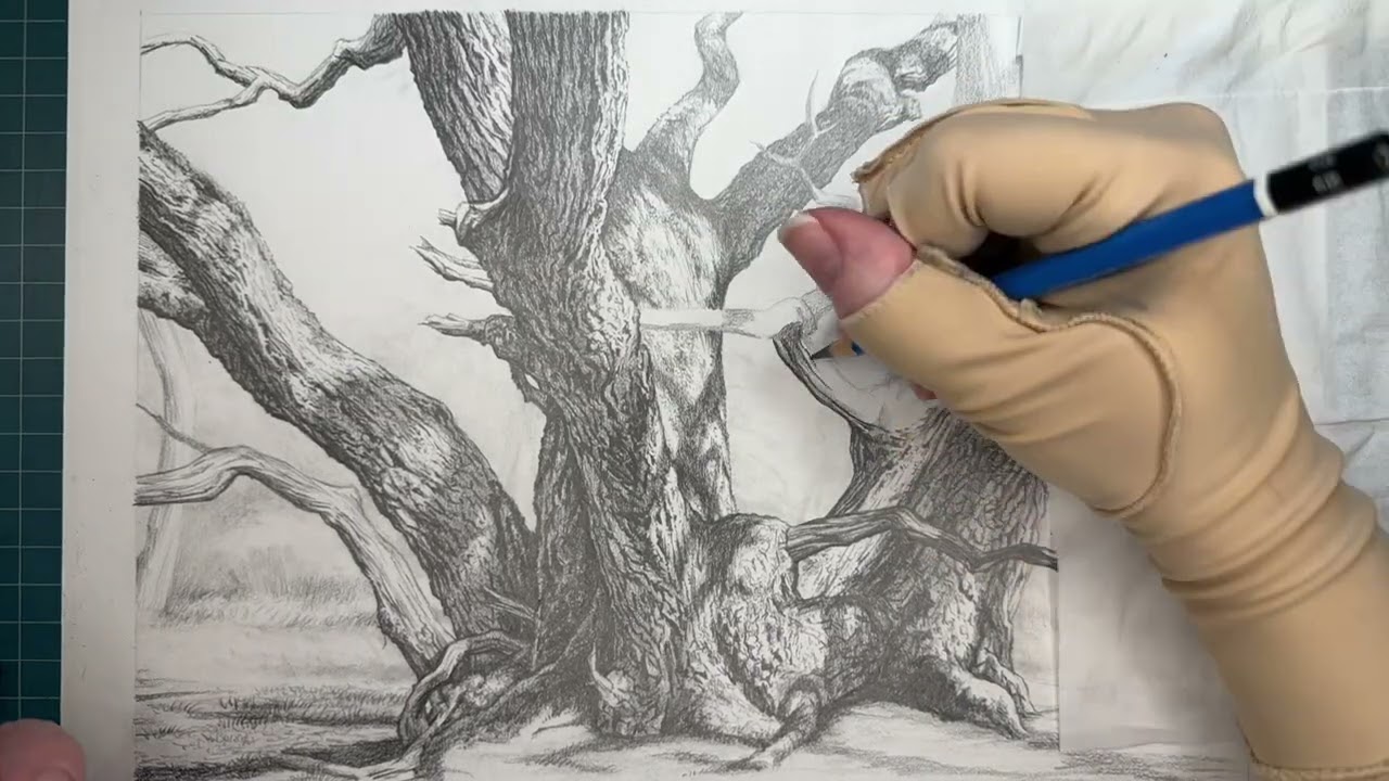 Weeks 7-8 of Drawing Trees: Oak tree