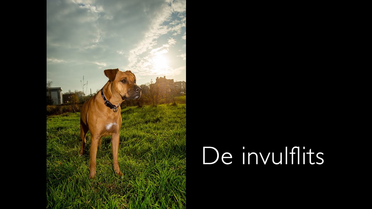 De invulflits