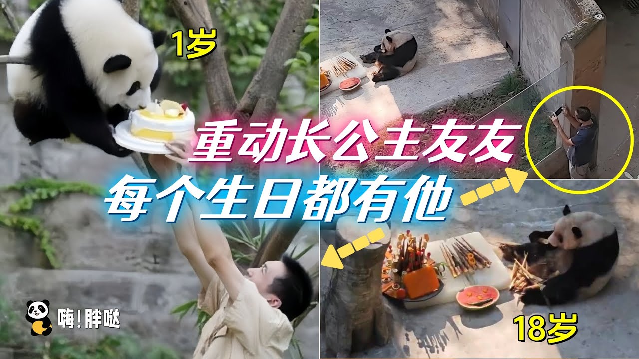 重庆动物园长公主友友，1岁到18岁的生日，都有他的陪伴。张乃成陪伴友友家祖孙四代的故事