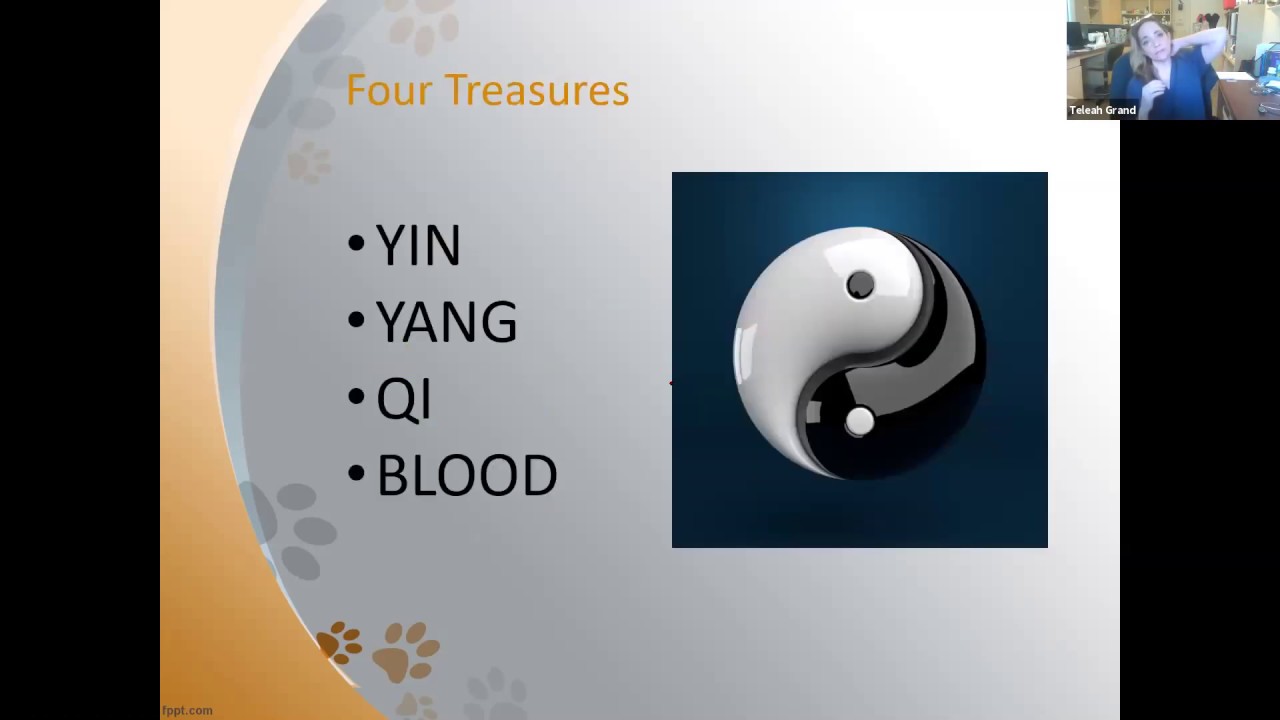 TCVMTalks: 5 Elements and 4 Treasures