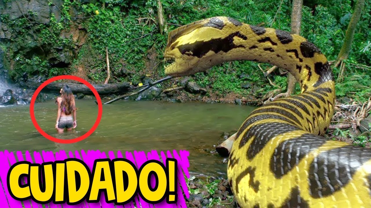 NÃO ASSISTA ESSE FILME - PIRANHACONDA