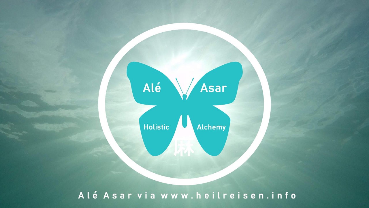 Alé Shorty: Gedanken zum Wandel