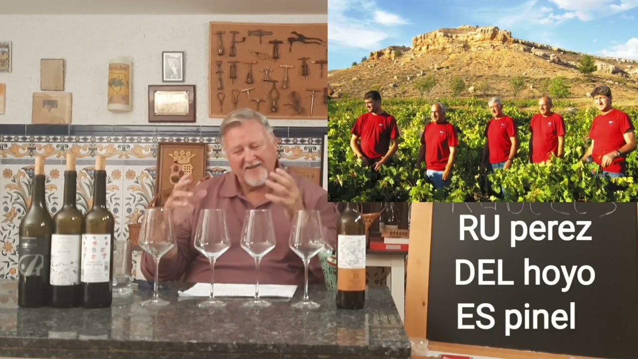 254 - La Ribera del Duero alta está en auge. ¿Sabes las razones?