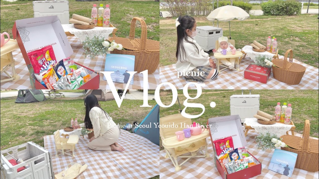 KOREA VLOG 🇰🇷 | 🧺 PICNIC AT HANGANG RIVER YEOUIDO 🍃 ft. SEOULBOX