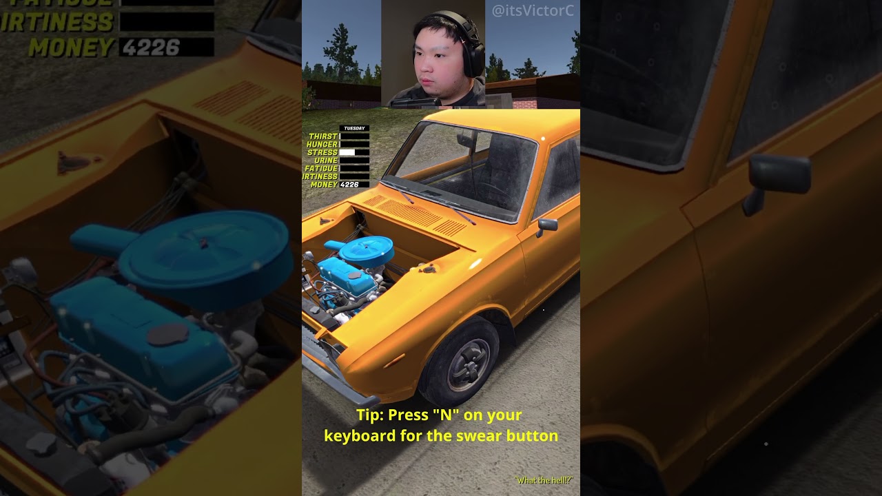 How To Lower Stress By Swearing in My Summer Car 