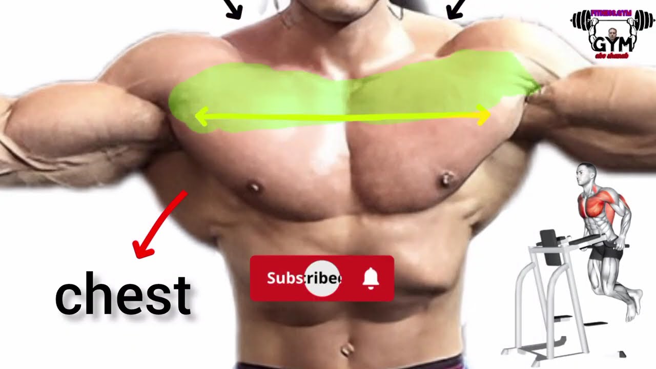 Full chest workout _Targets: Upper chest&lower chest&Middle chest |Dumbbell chest exercise