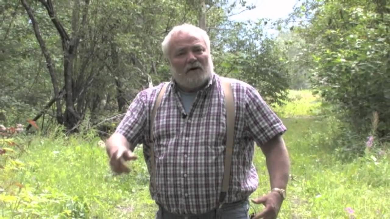 Buckwheat Poem Robert Service