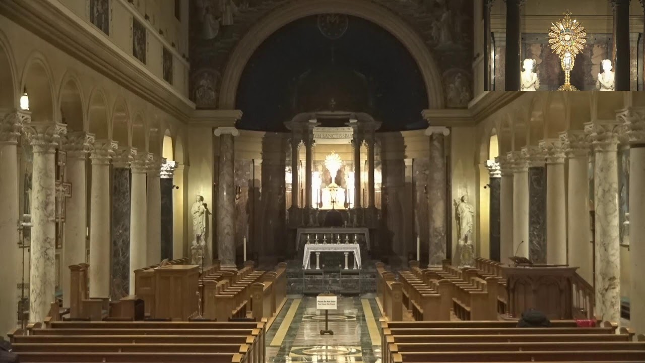 National Shrine of St. Maximilian Kolbe - Livestream