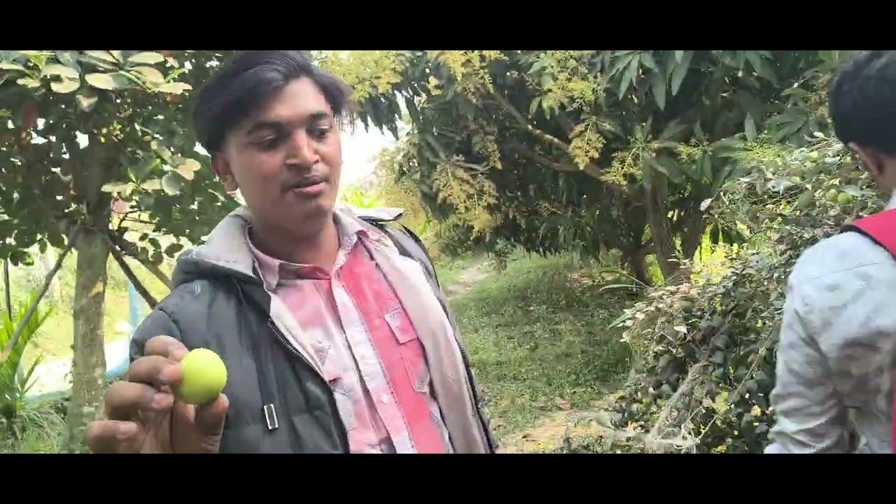 বড়ই বাগান 