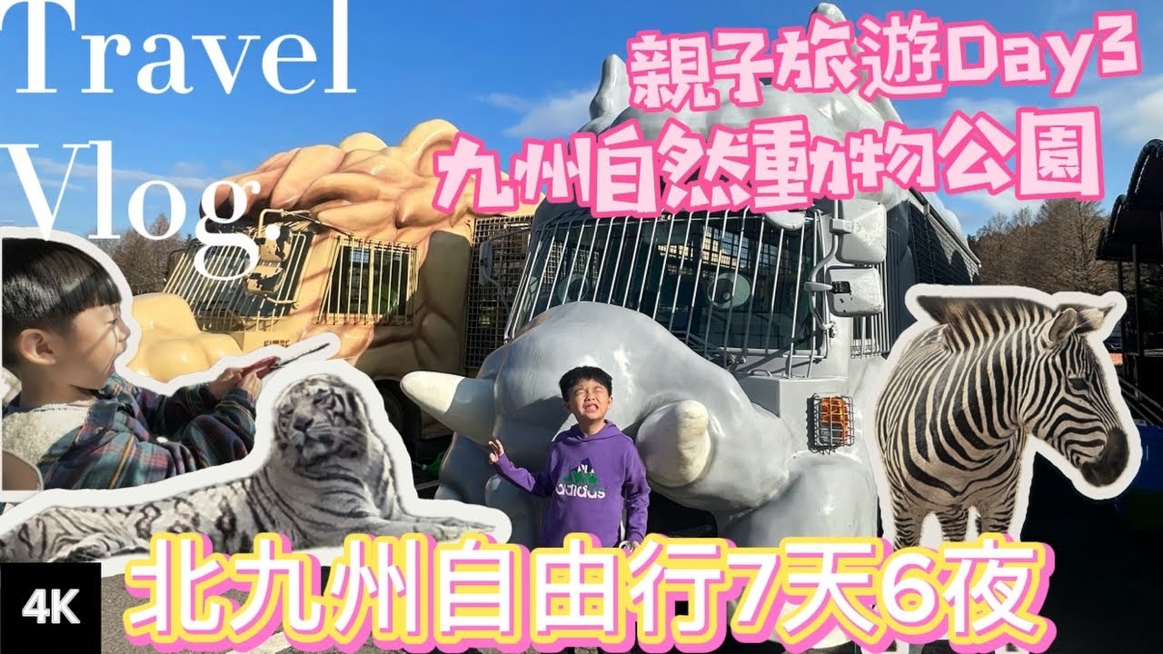 【日本九州】 別府九州自然動物公園 親子自由行 │ 交通方式 門票資訊 近距離親餵獅子 叢林巴士 │ 福岡自由行別府出發 ep.3  #日本自由行 #餵獅子 #九州動物園 #4k 20240215
