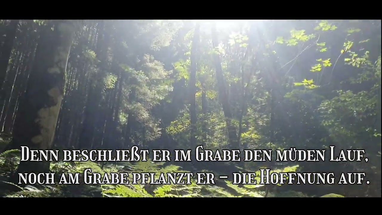 Hoffnung - Friedrich Schiller / 1800