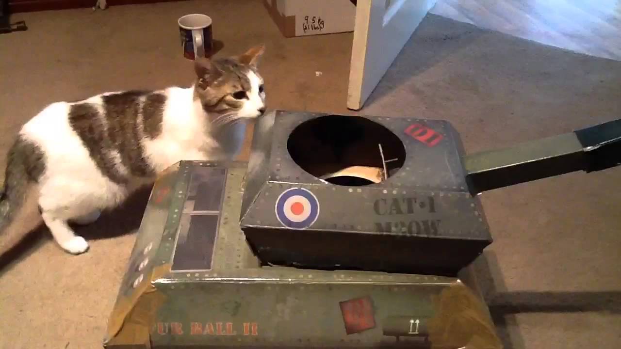Cat Tank!
