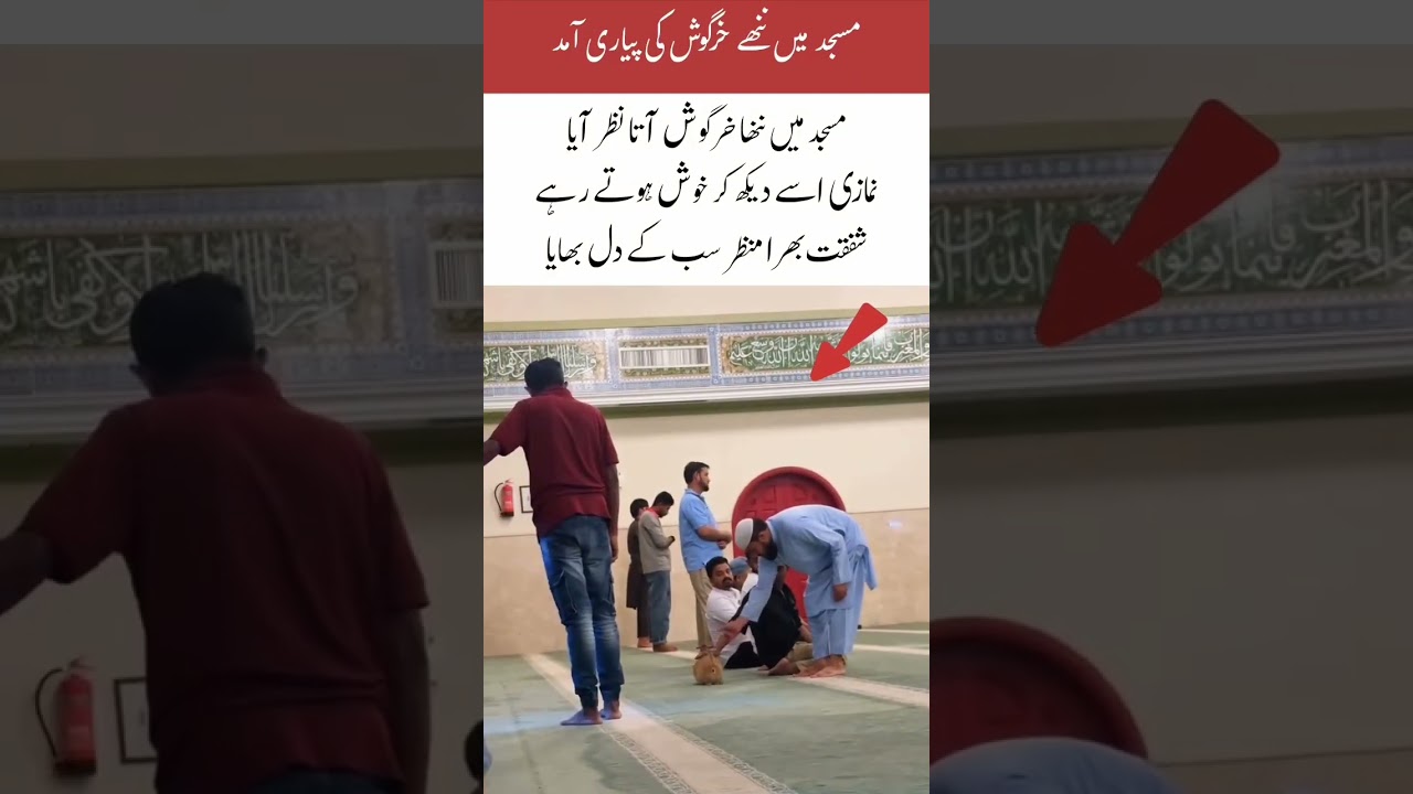 A Cute Rabbit Brings Joy to the Mosque #islamicshorts #youtubeshorts #freequraneducation #viralshort