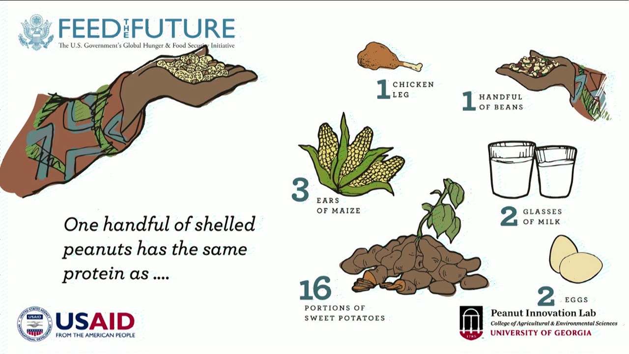 Peanuts and aflatoxin: The potential and challenges for the world’s most widely grown legume