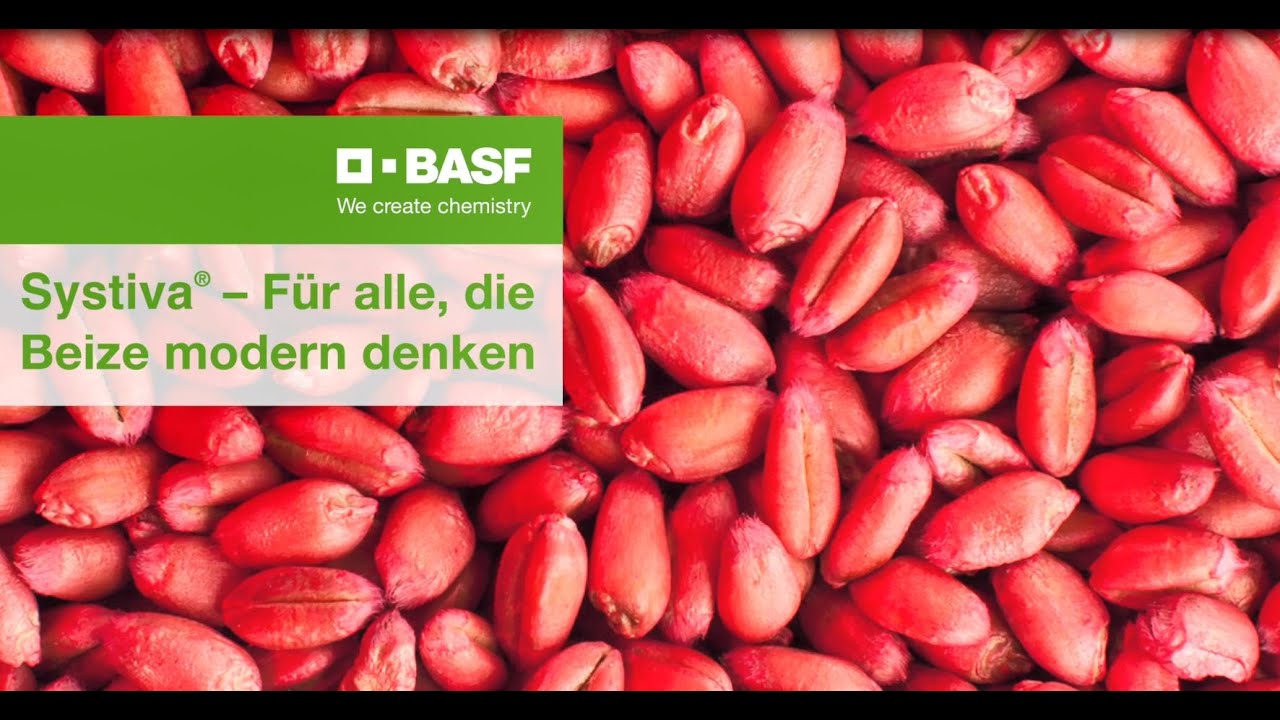Systiva&reg; - F&uuml;r alle, die Beize modern denken