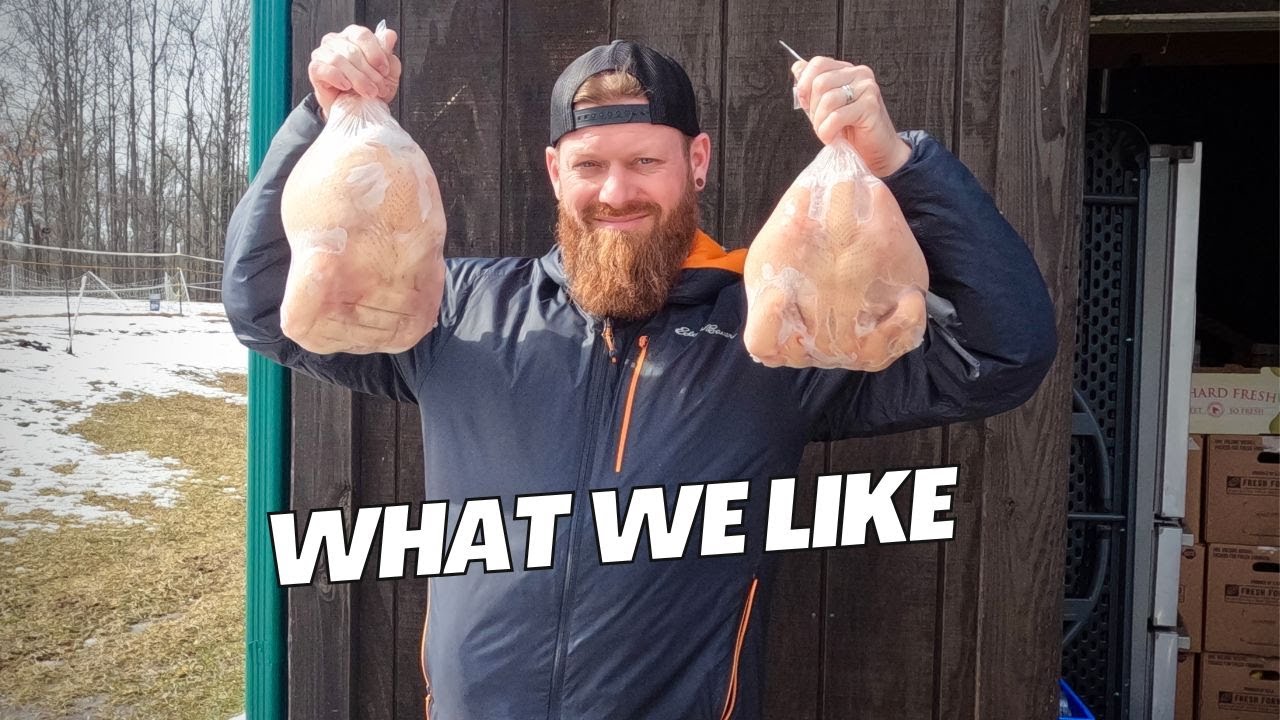 Raising Cornish Cross vs Red Rangers | chickens for meat | homestead #vlog