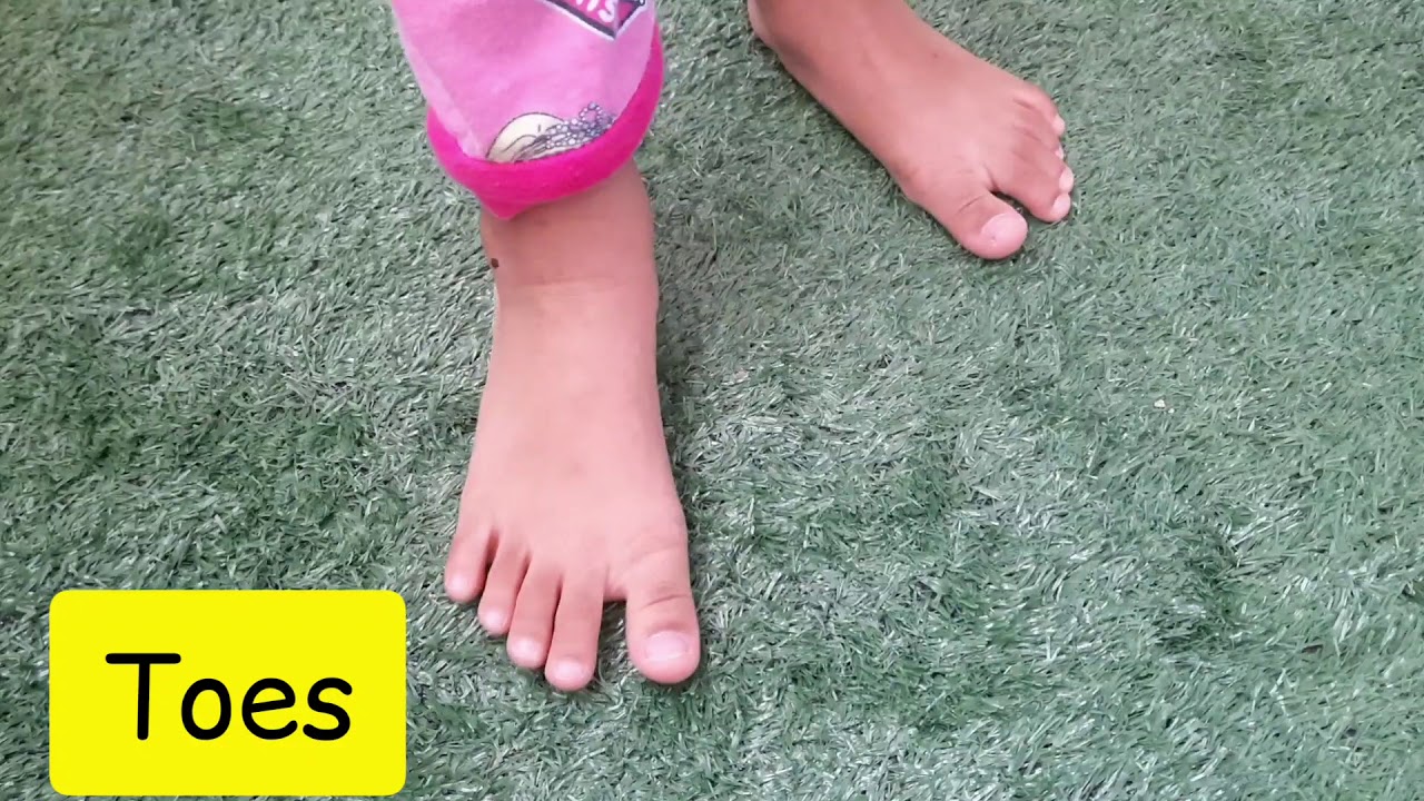 TOES (Poem*Year 6 Textbook)